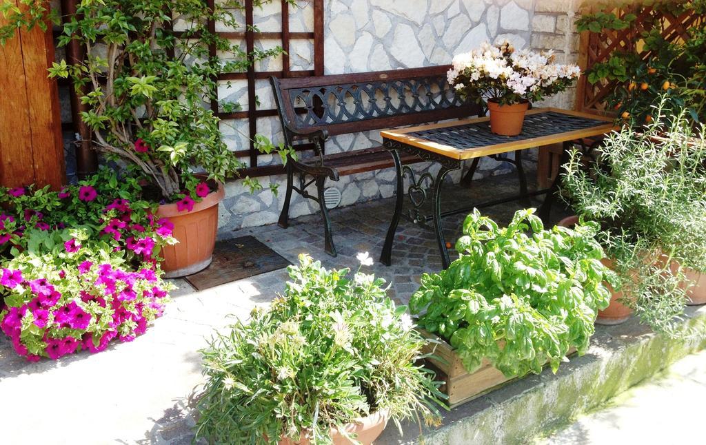 I Gerani Rossi Hotel Roma Ngoại thất bức ảnh